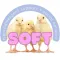 The Soft App