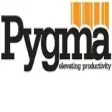 Pygma Stock Take DC