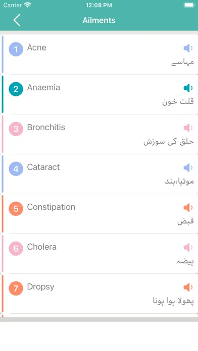 Learn English Basic To Advance应用截图
