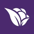 Violetta Cosméticos Violetta Cosméticos