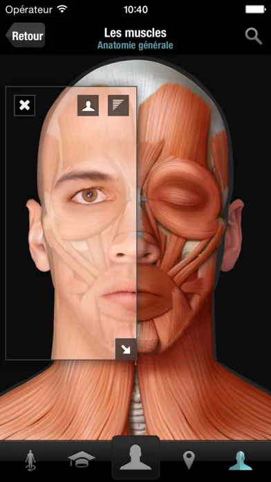 تصاویر Corps humain virtuel