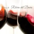 Vinos Ribera del Duero Vinos Ribera del Duero