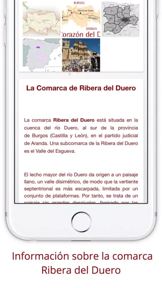Vinos Ribera del Duero Ekran Görüntüleri