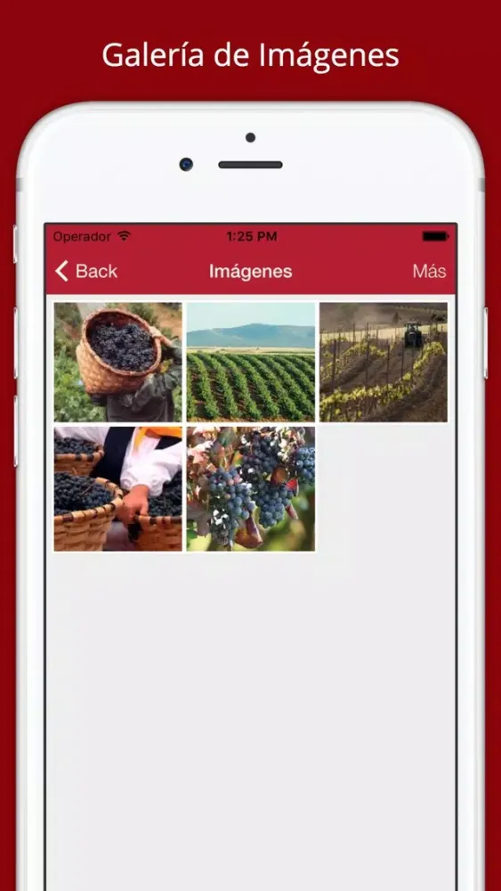 Vinos Ribera del Duero Ekran Görüntüleri