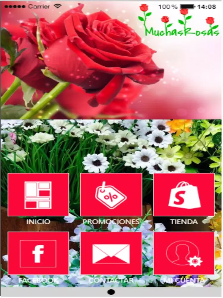 تصاویر MuchasRosas iPad 