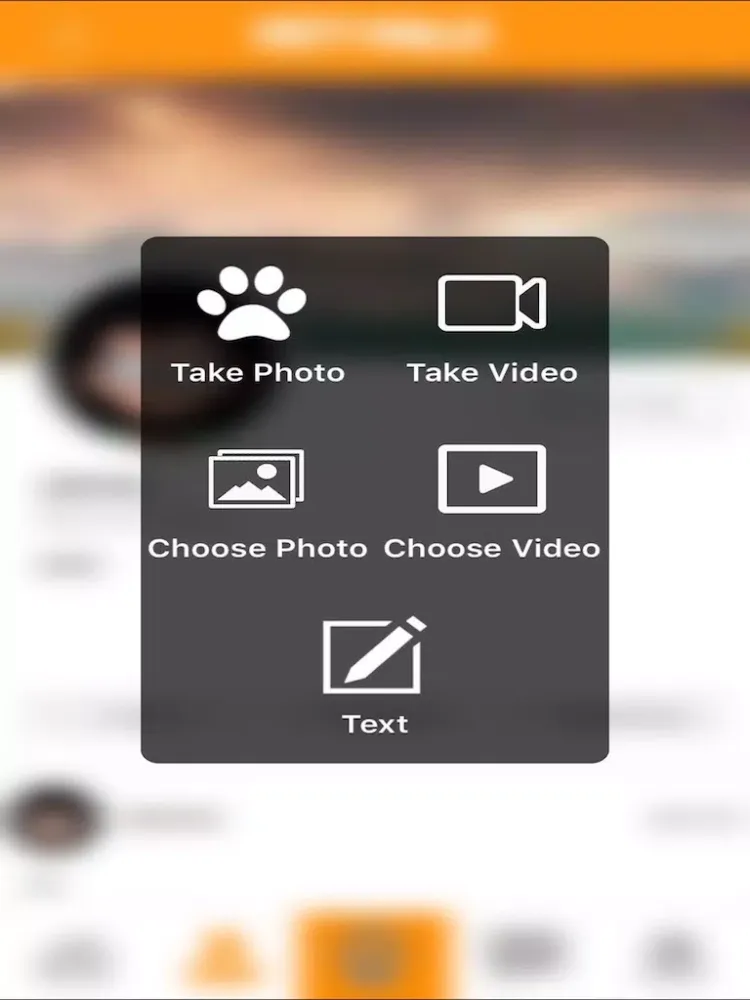 PetsHome iPad  سکرین شاٹس