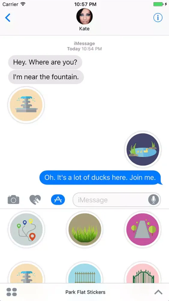 صور Park Flat Stickers