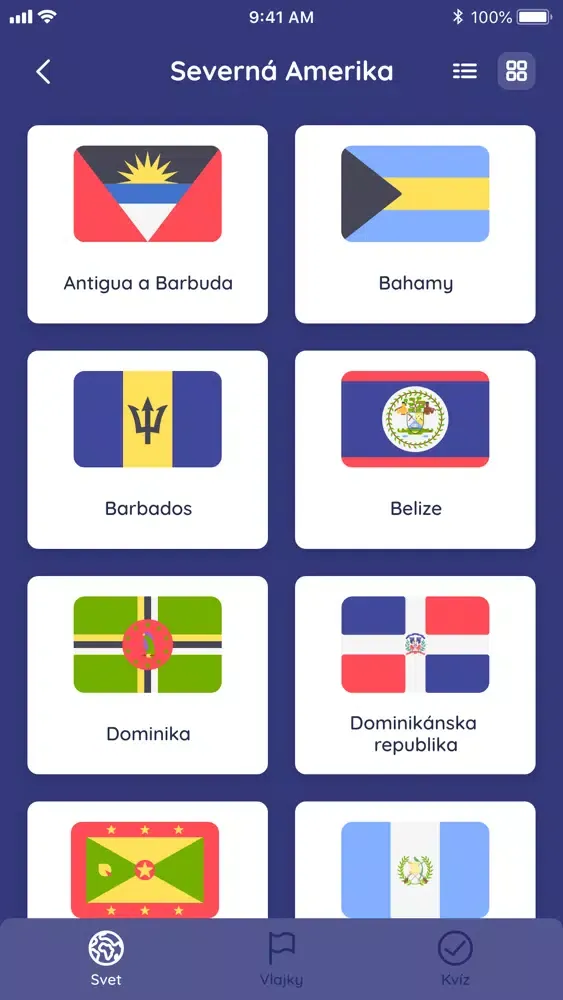 Screenshot di Q-Vlajky