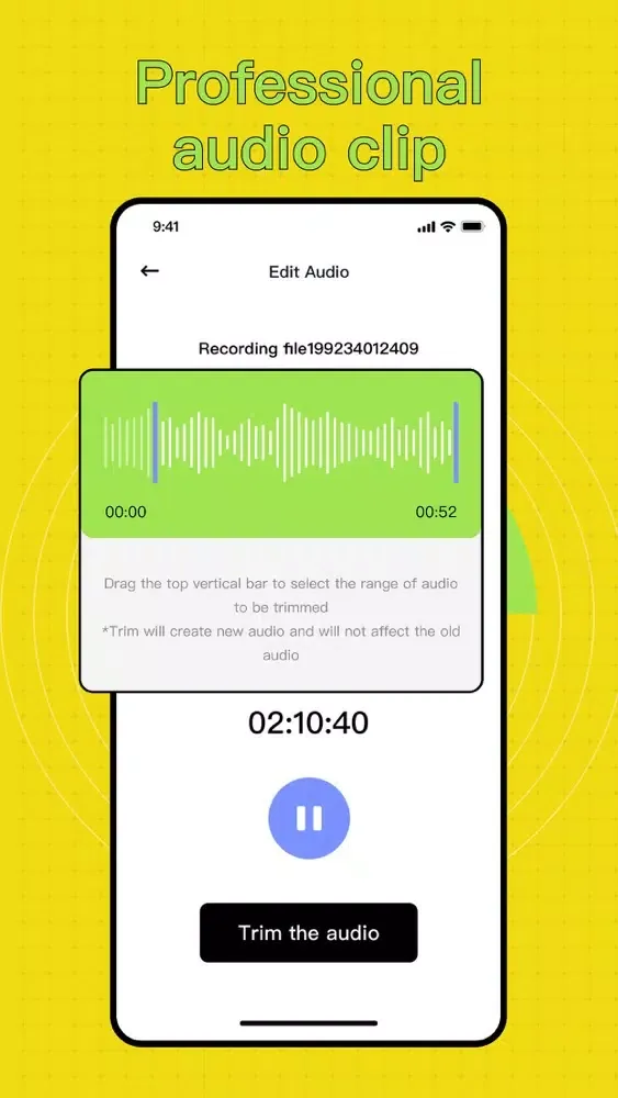 Voice Recorder&Audio memos App Screenshots