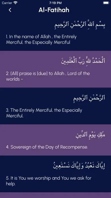 ภาพหน้าจอของ Muslim LifePro