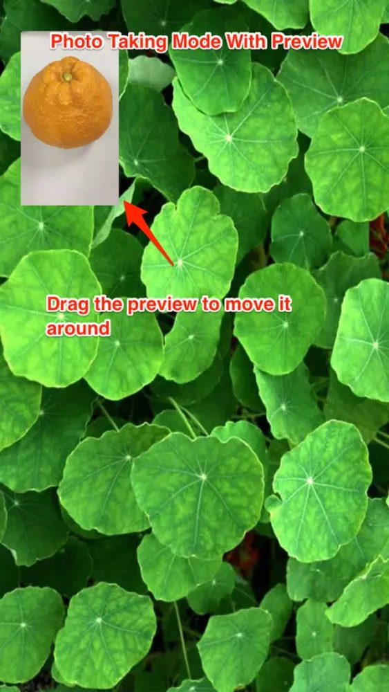 Capturas de pantalla de Hidden Spy Cam - Secret Camera Tool