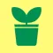 Plant Watering Reminder: Care For Indoor Plants