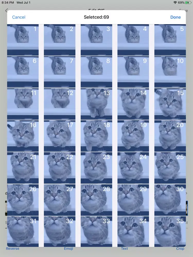 GIF Maker-Create & Edit GIF iPad  Screenshots