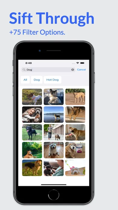 صور Seek Gallery
