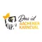 Karneval AAK