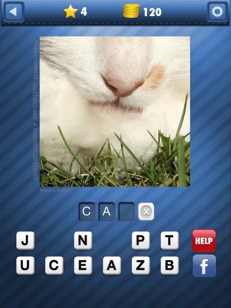 Pic Pop - guess what's that zoomed picture icon riddle in this fast word quiz to game iPad 应用截图