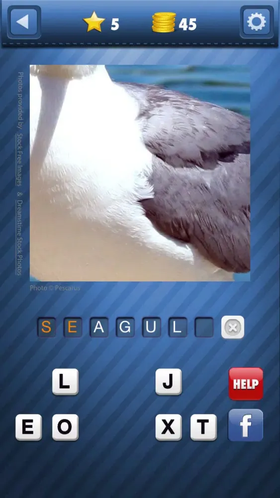 Pic Pop - guess what's that zoomed picture icon riddle in this fast word quiz to game应用截图
