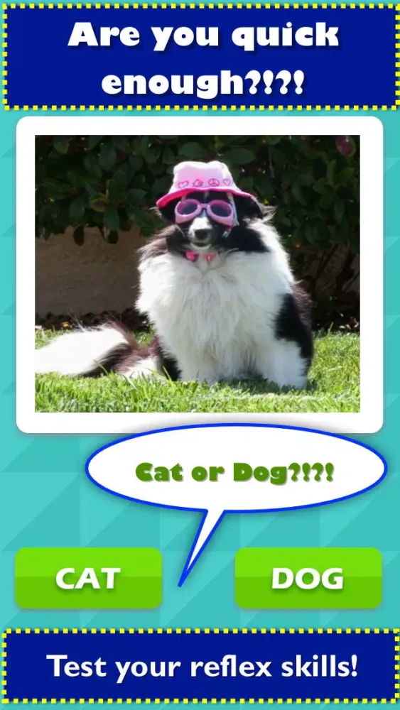 TicToc Pic: Cat or Dog Edition - Reaction Test Game 스크린샷