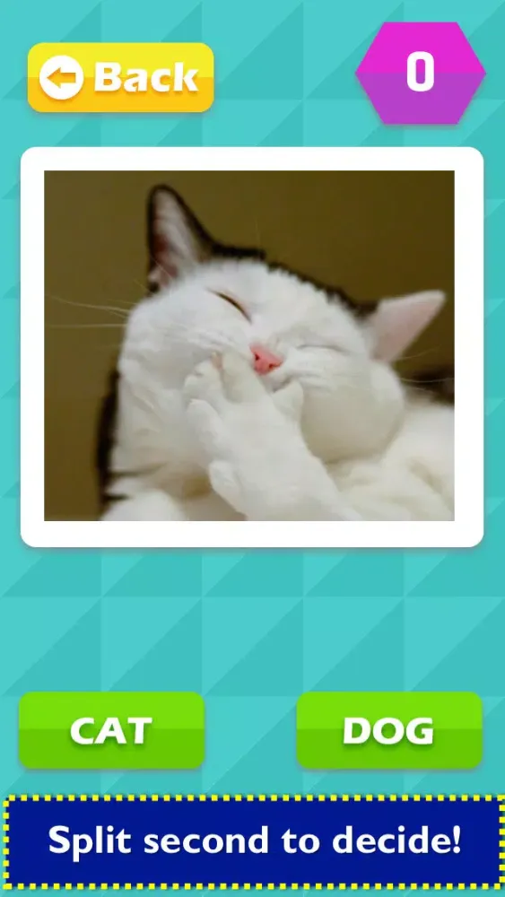 TicToc Pic: Cat or Dog Edition - Reaction Test Game 스크린샷