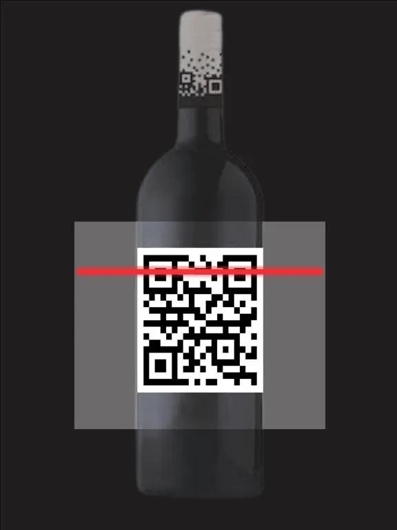 Tangkapan skrin QBR QR Barcode Readers iPad 