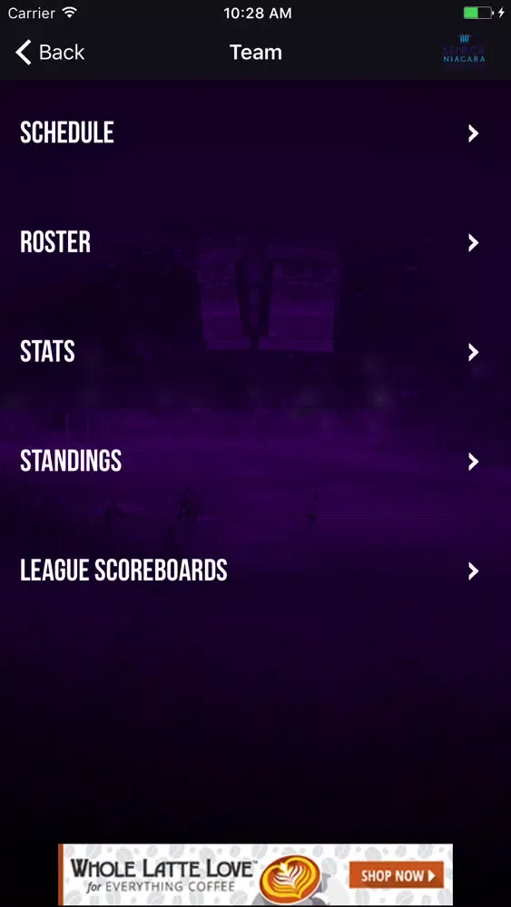 Скриншоты Knighthawks