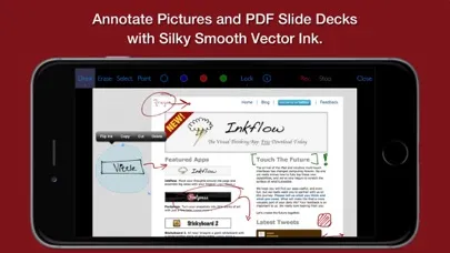 Vittle Pocket Pro スクリーンショット