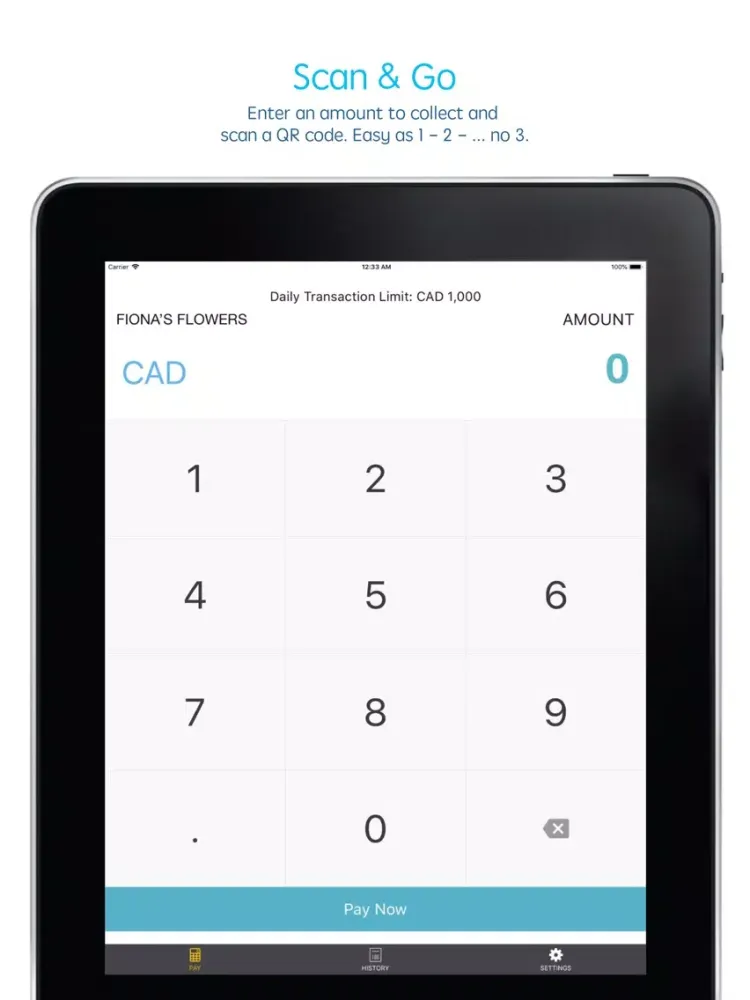 Скриншоты 北美快付 QRPay iPad 