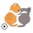 Animated Adorable Cats Sticker Animated Adorable Cats Sticker