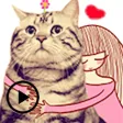Animated Funny Cat and Friends