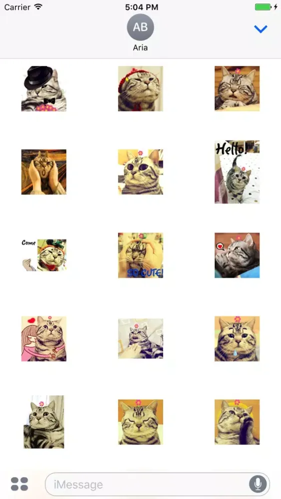 Animated Funny Cat and Friends应用截图