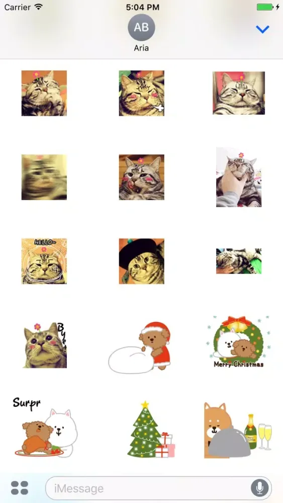 Animated Funny Cat and Friends应用截图