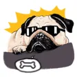 Cute Pug Wonderful Dog Sticker Cute Pug Wonderful Dog Sticker