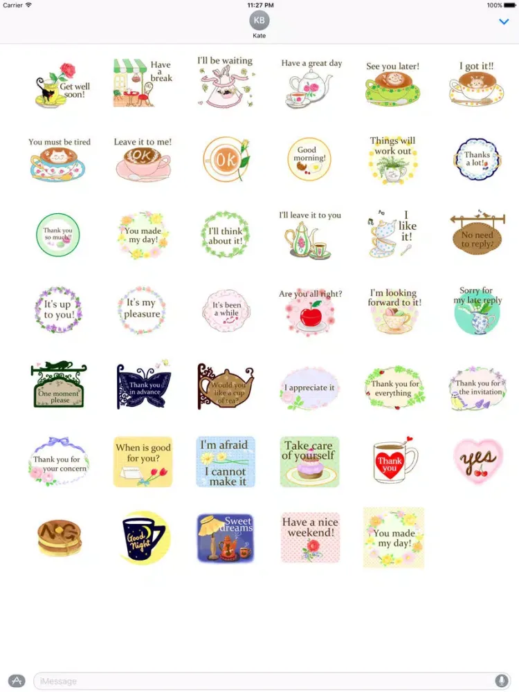Elegant and Polite Words iPad  Screenshots