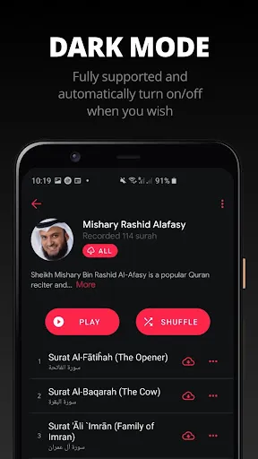 Quran Pro: Read, Listen, Learn应用截图