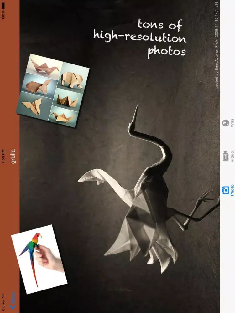 Ảnh chụp màn hình của Origami Paper Craft iPad 
