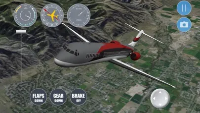 Airplane Salt Lake City Screenshots