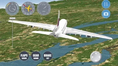 Airplane Washington DC Screenshots