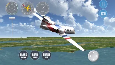Airplane Washington DC Screenshots