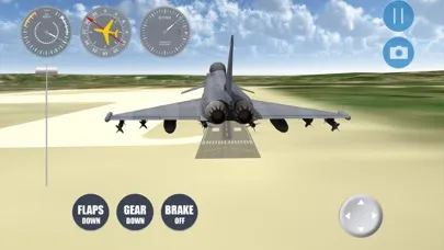 Airplane Washington DC Screenshots