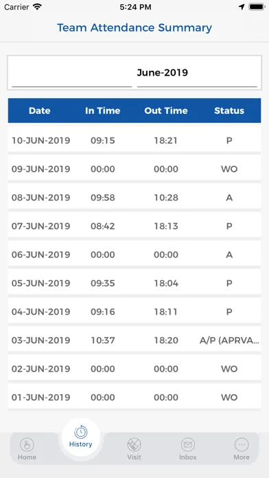 Zrzuty ekranu Connect Fleet Management