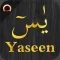 Surah Yaseen - يسٓ