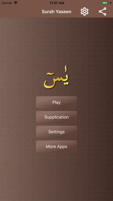 Surah Yaseen - يسٓ سکرین شاٹس