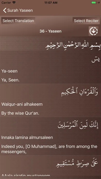 Surah Yaseen - يسٓ سکرین شاٹس