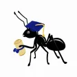 Ant Colony Stickers Ant Colony Stickers