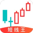 短线王