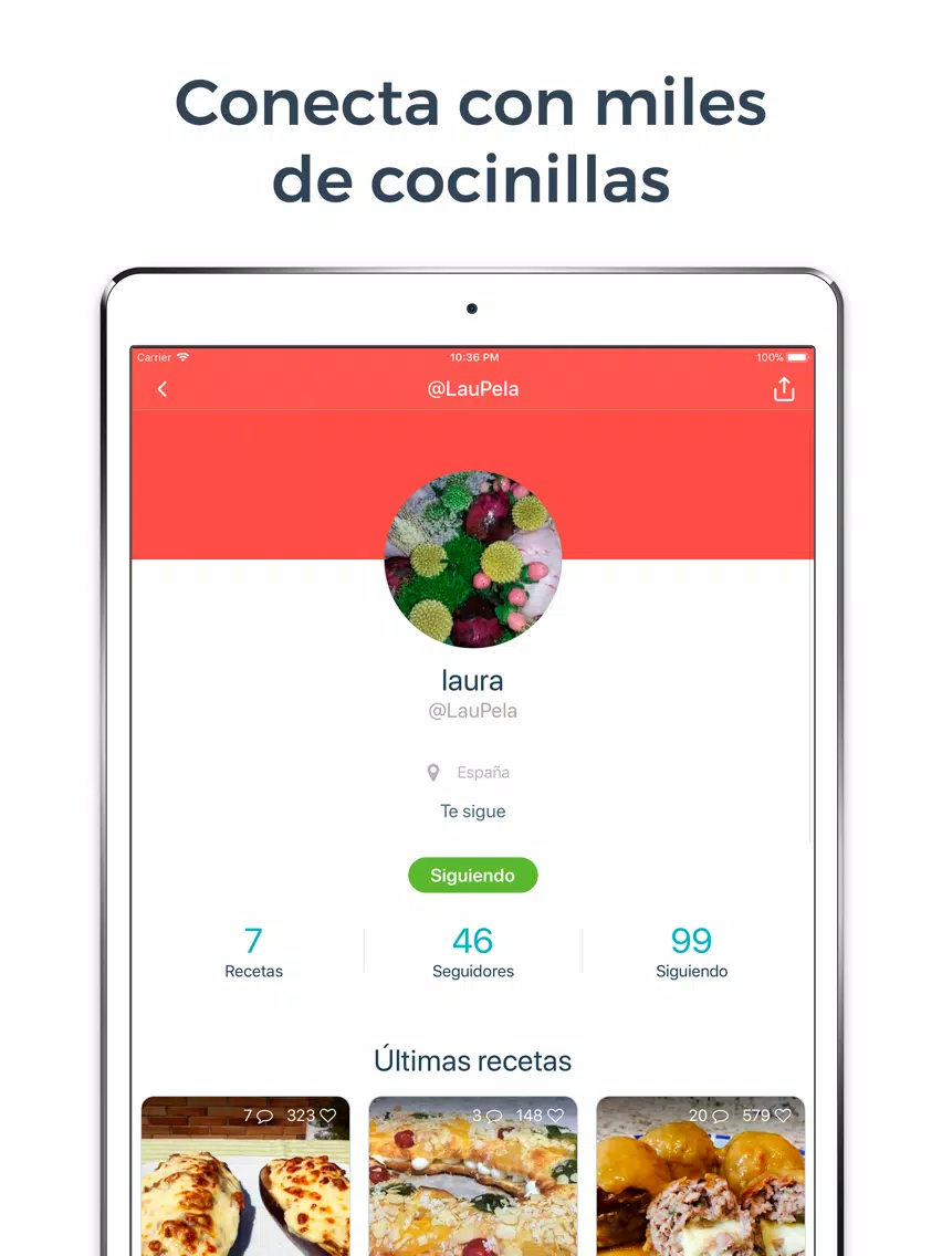 Tangkapan layar Hatcook Recetas de Cocina iPad 