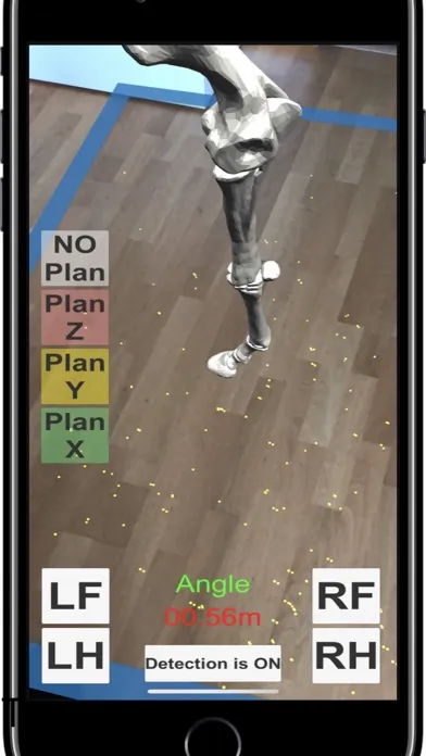 AR Horses Xrays Helper Screenshots
