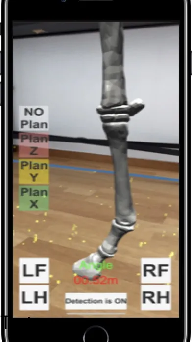 AR Horses Xrays Helper Screenshots
