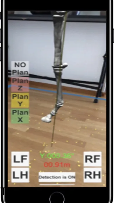 AR Horses Xrays Helper Screenshots