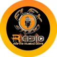FLEX STUDIO RADIO TV
